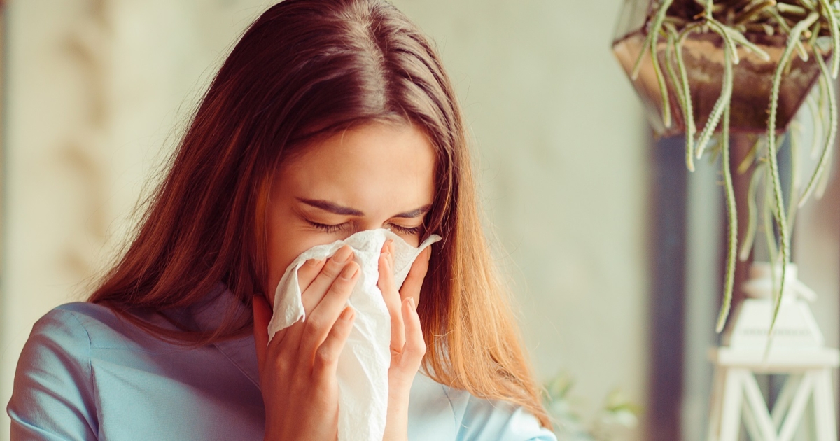 Does Your Heart Stop When You Sneeze Breaking Down Sneezing Myths